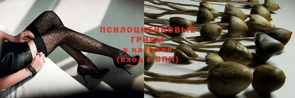 каннабис Корсаков