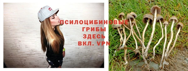каннабис Корсаков